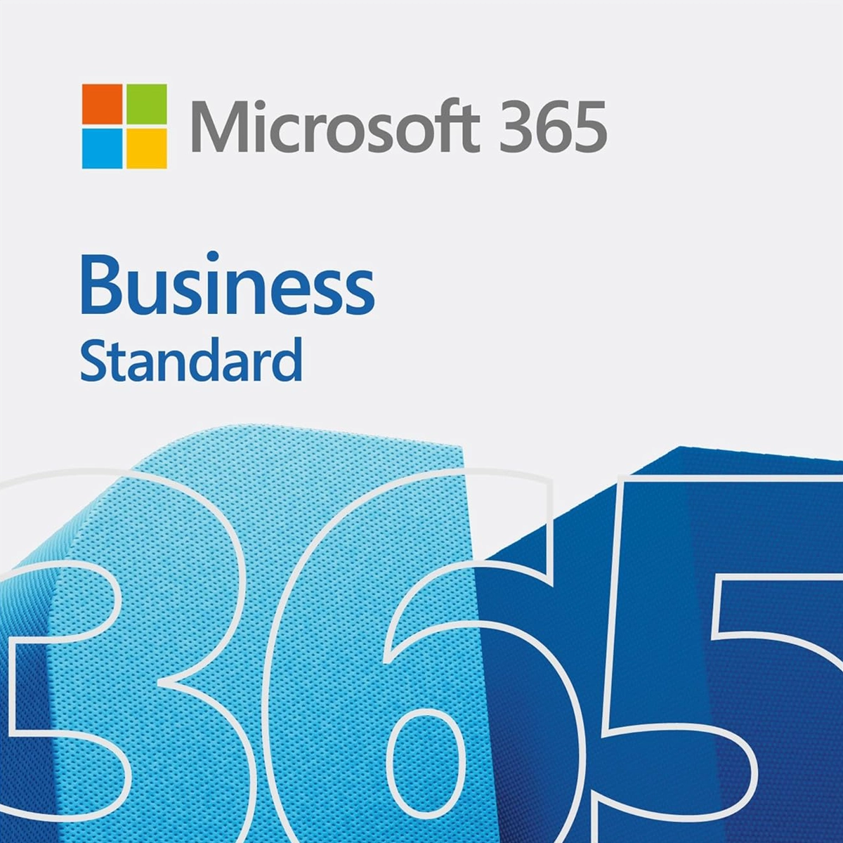 Microsoft 365 Business Standard software licence