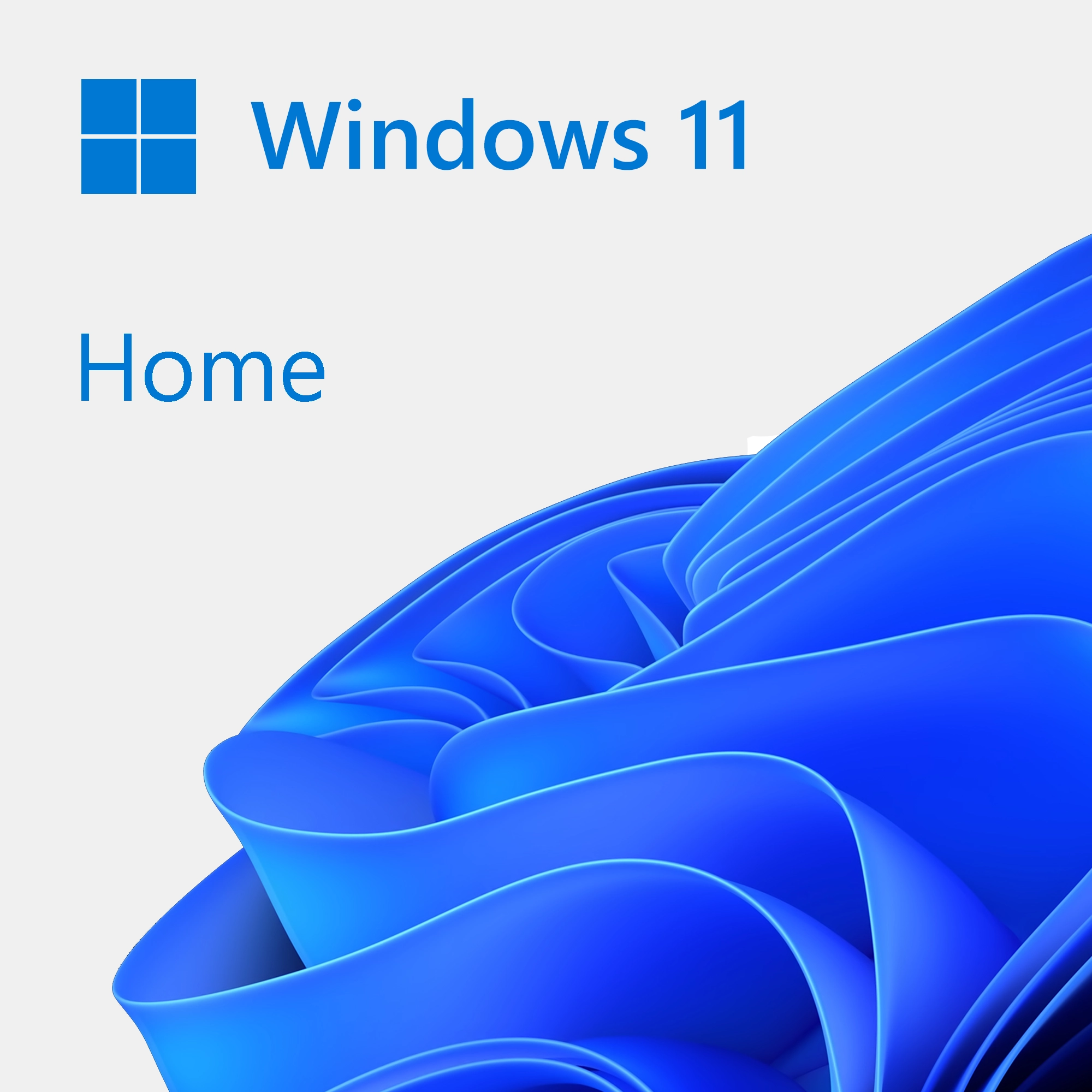 Windows 11 Home software licence