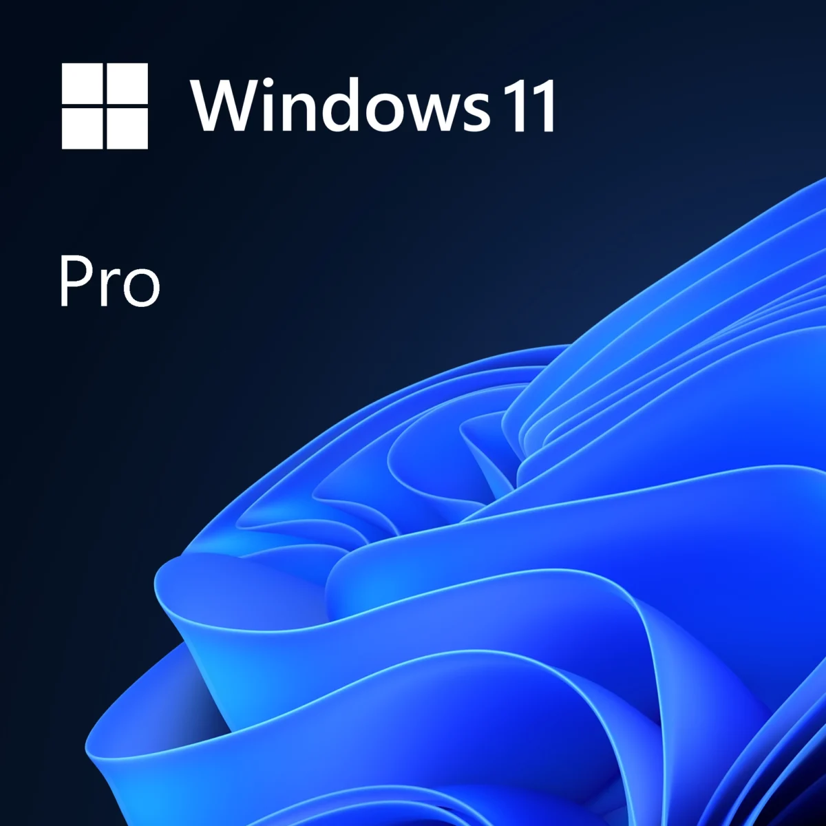 Windows 11 Pro software licence