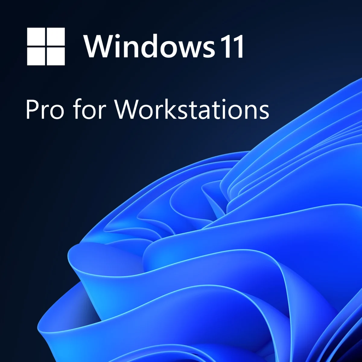 Windows 11 Pro for Workstation software licence