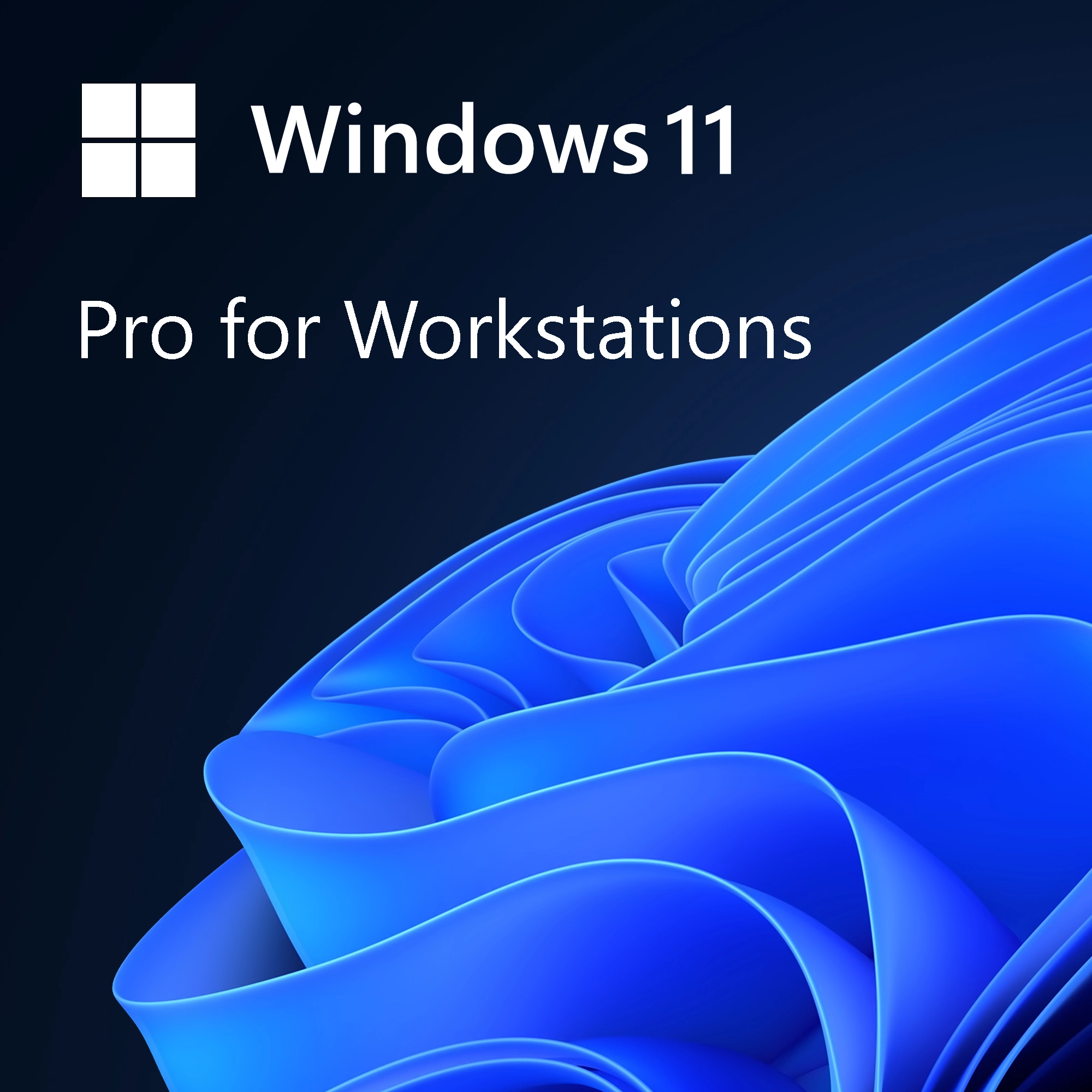 Windows 11 Pro for Workstation software licence