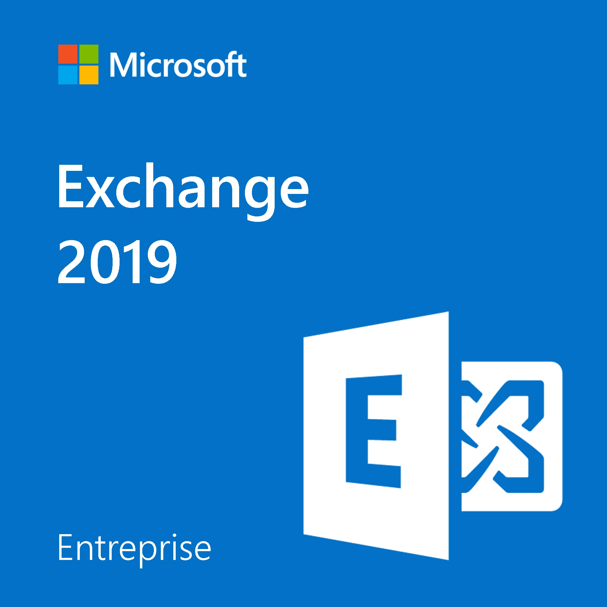 Microsoft Exchange 2019 Entreprise software licence