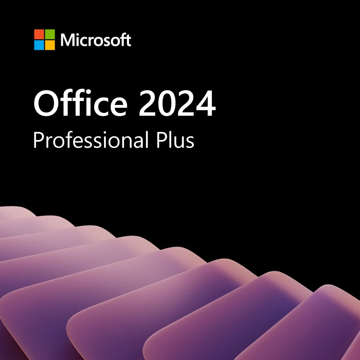 Office 2024 Professional Plus software licence