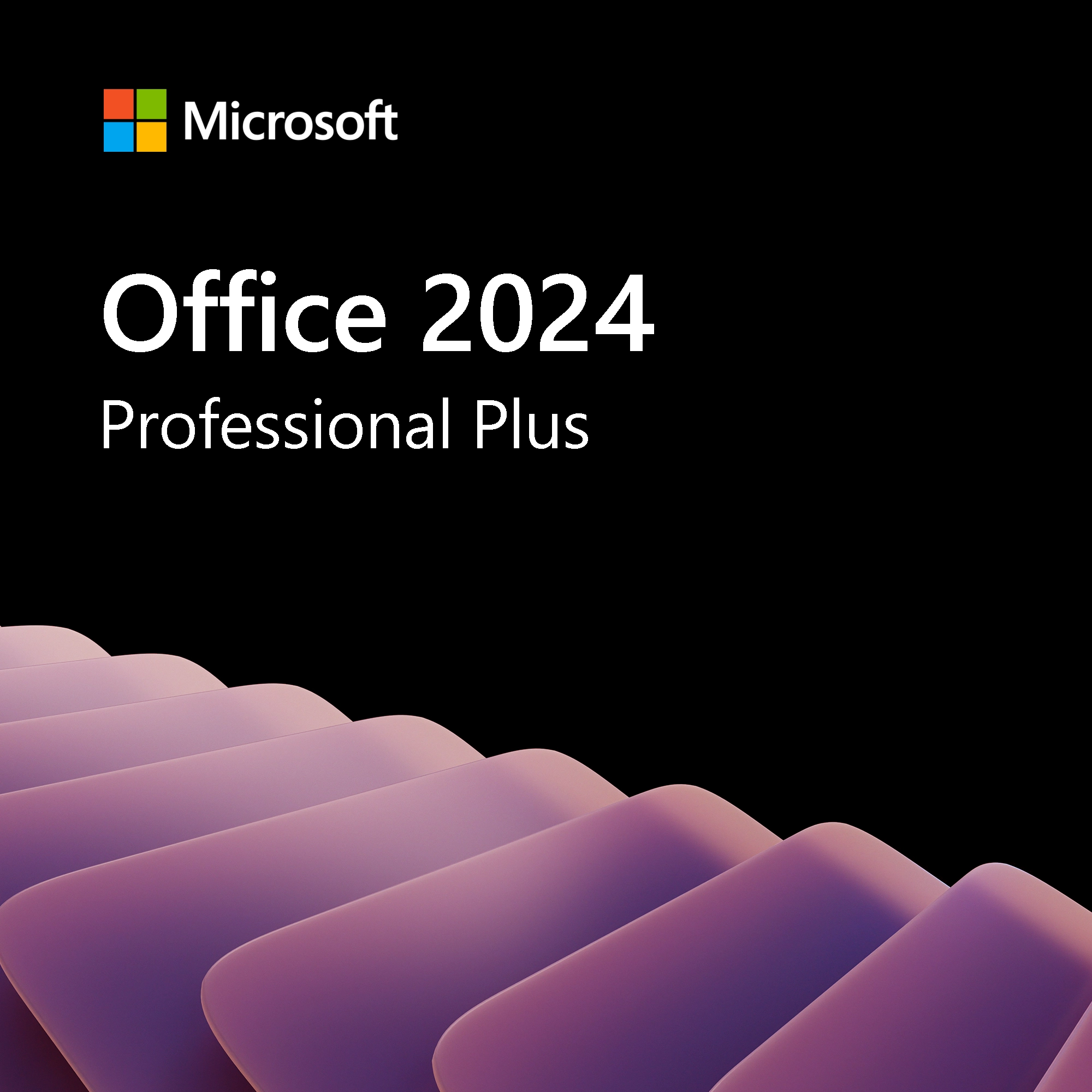 Office 2024 Professional Plus software licence