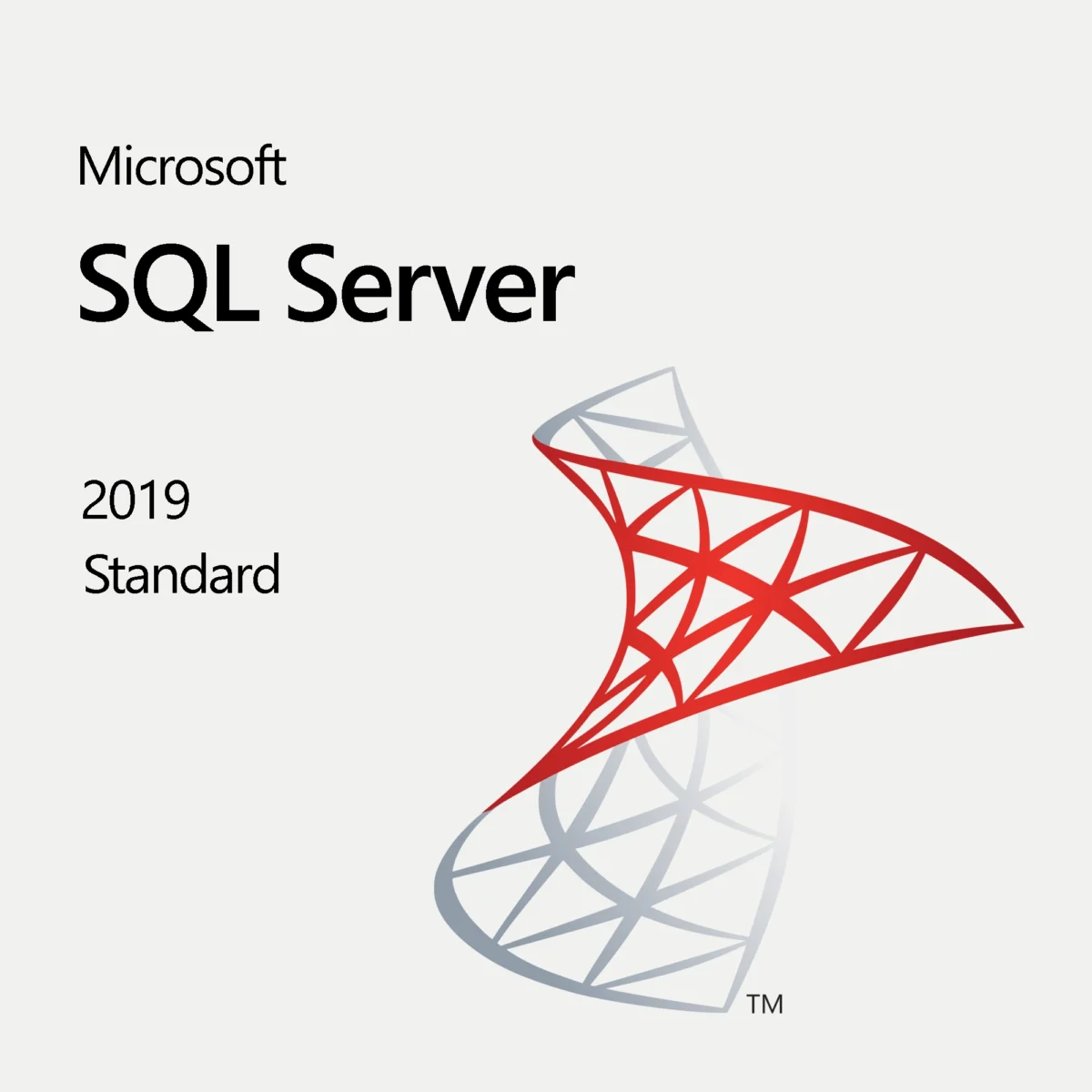 Microsoft SQL Server 2019 Standard - Image 1