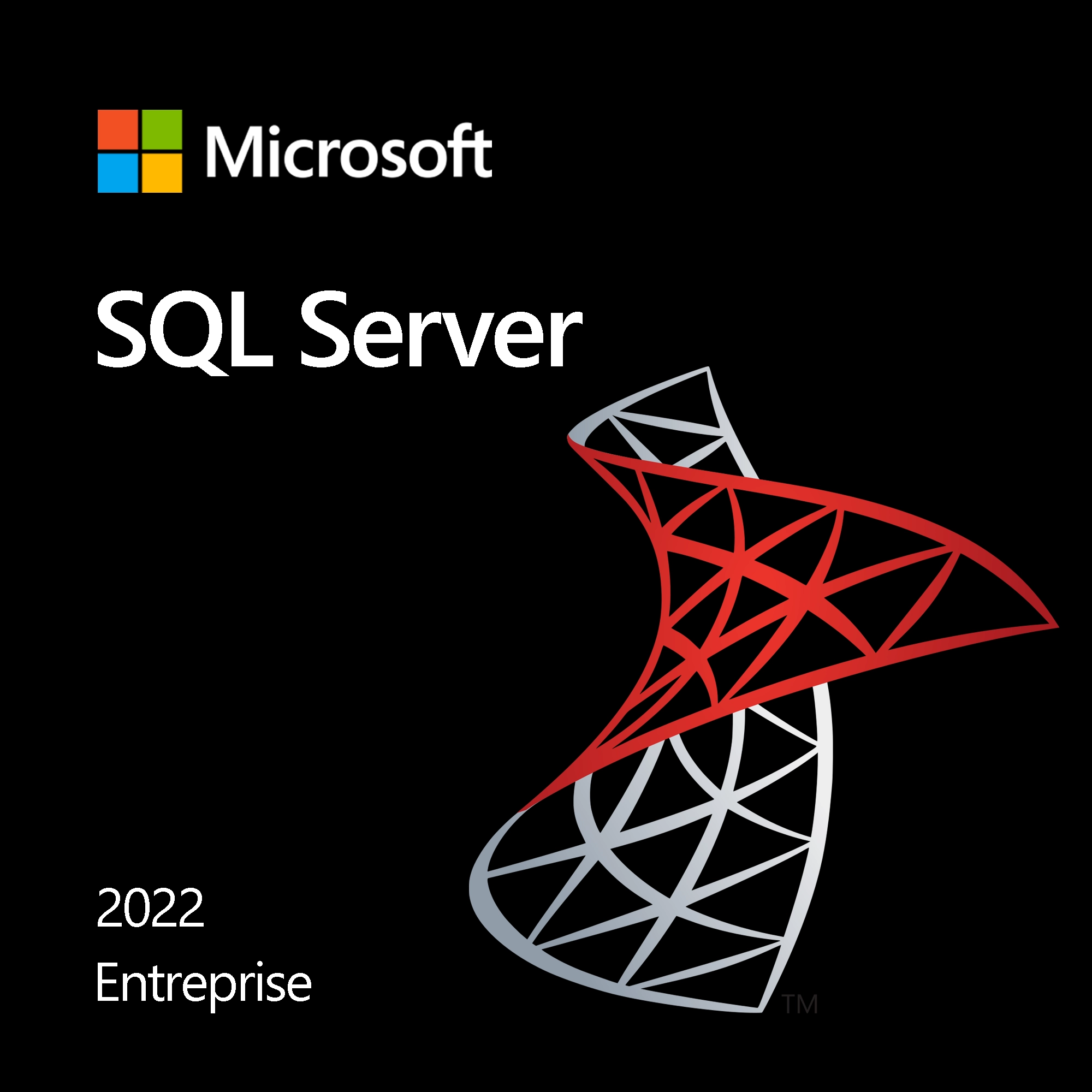 Microsoft SQL Server 2022 Entreprise software licence