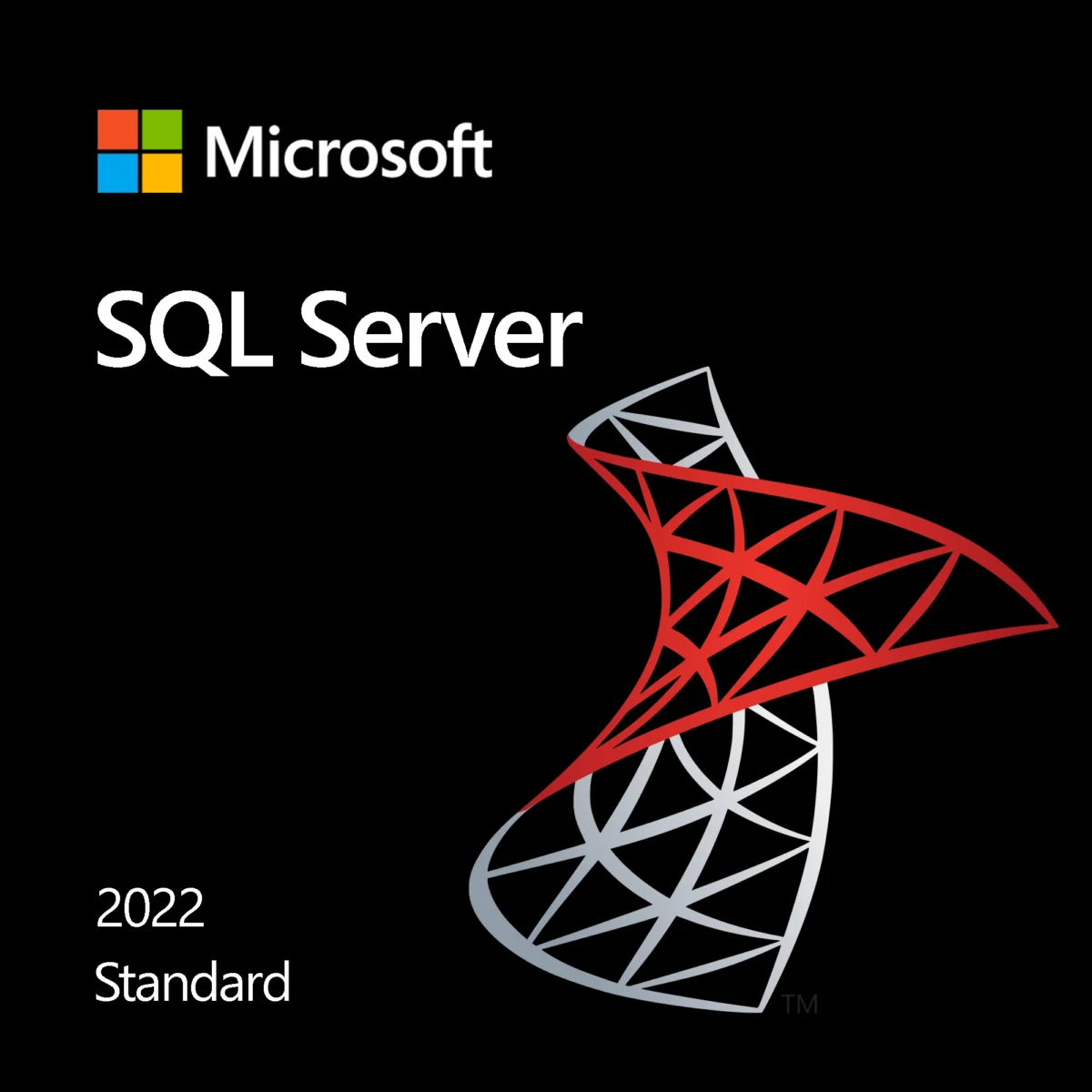 Microsoft SQL Server 2022 Standard software licence