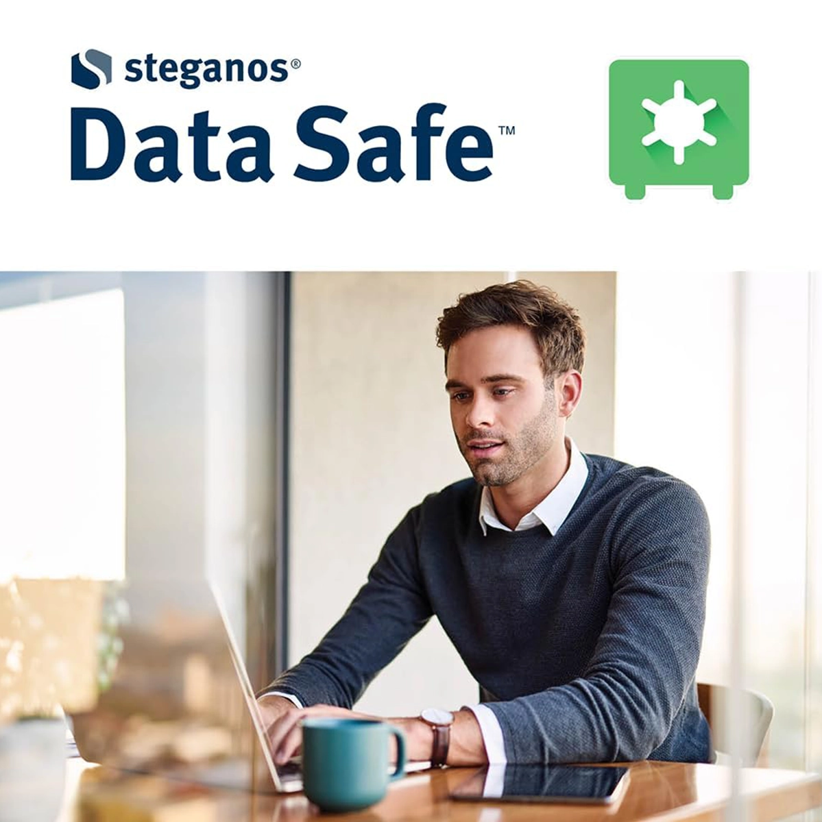 Steganos Data Safe 2025 software licence