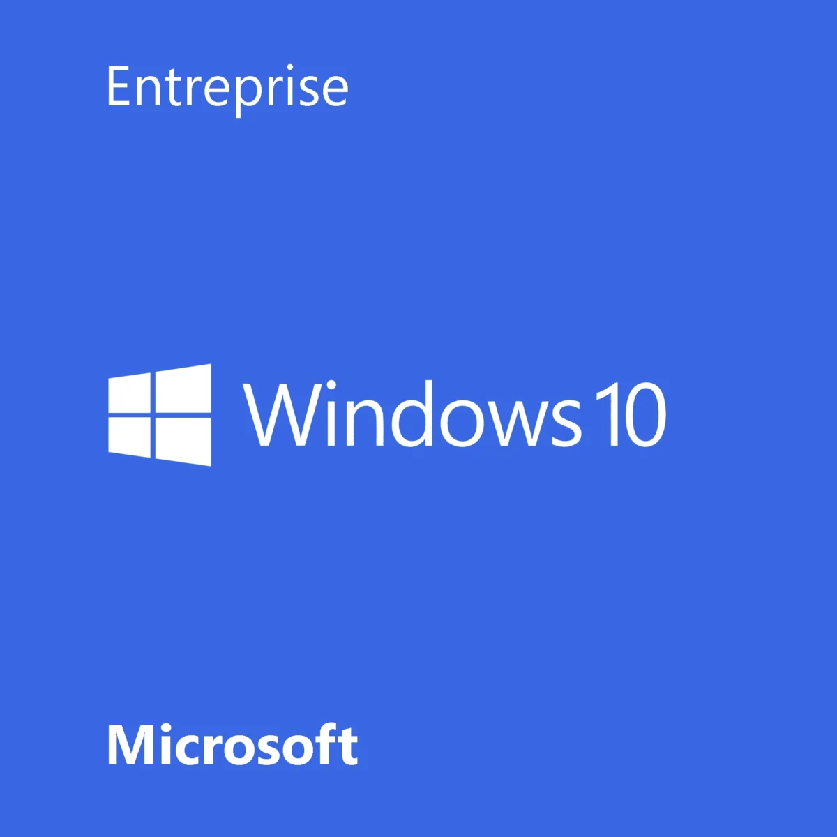 Windows 10 Entreprise software licence