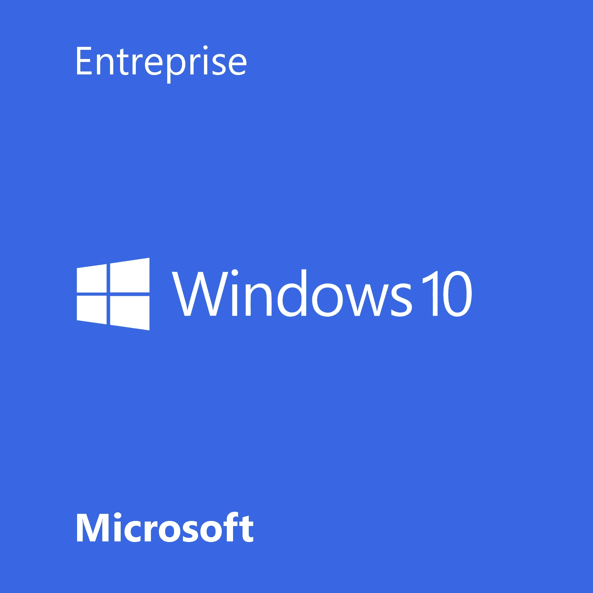 Windows 10 Entreprise software licence