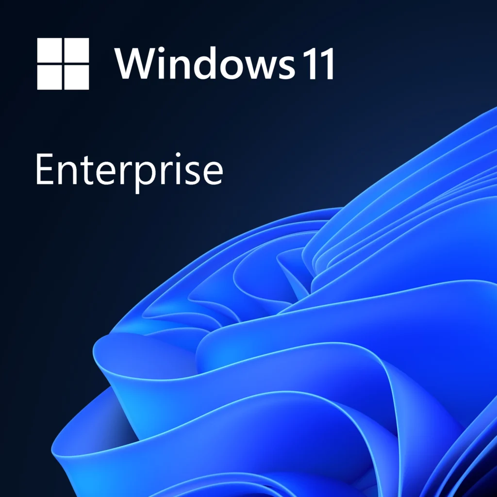 Windows 11 Entreprise software licence