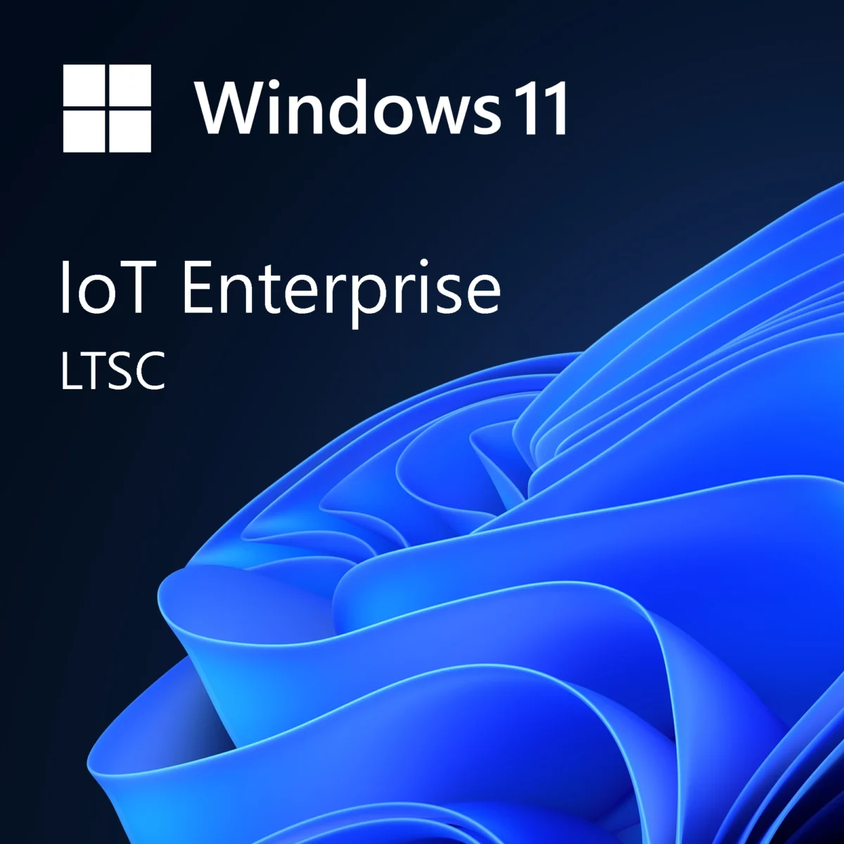 Windows 11 IoT Entreprise LTSC software licence