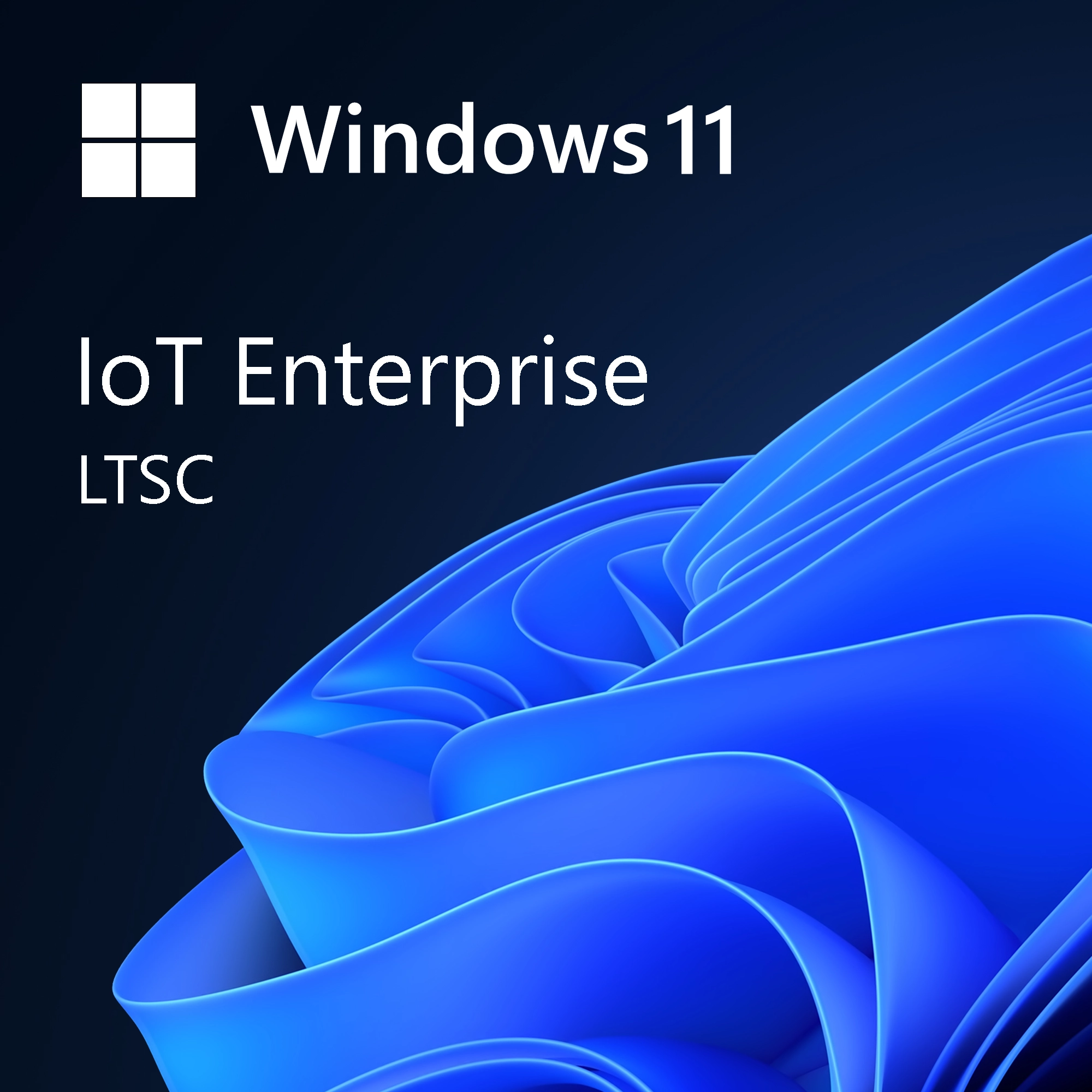 Windows 11 IoT Entreprise LTSC software licence