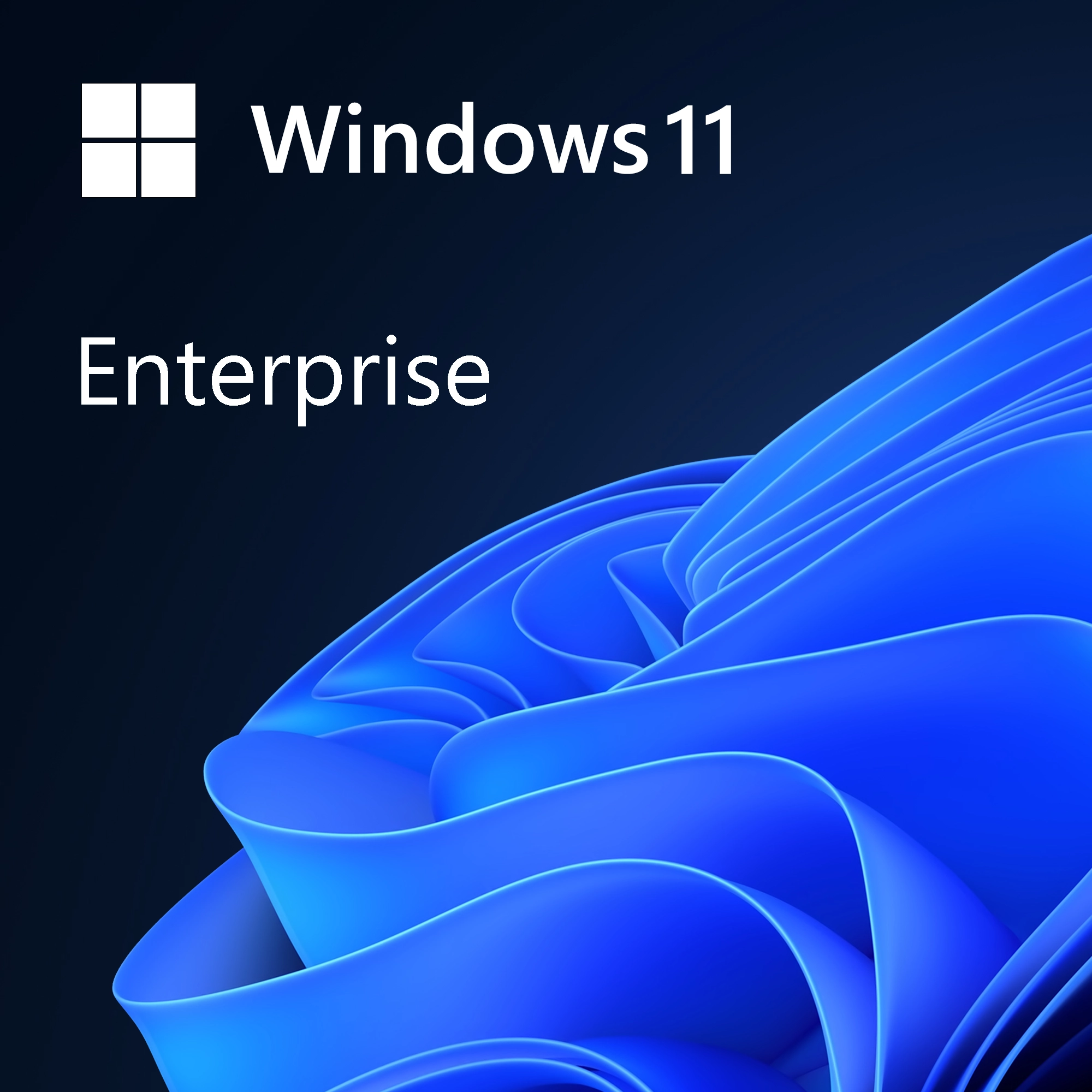 Windows 11 Entreprise software licence