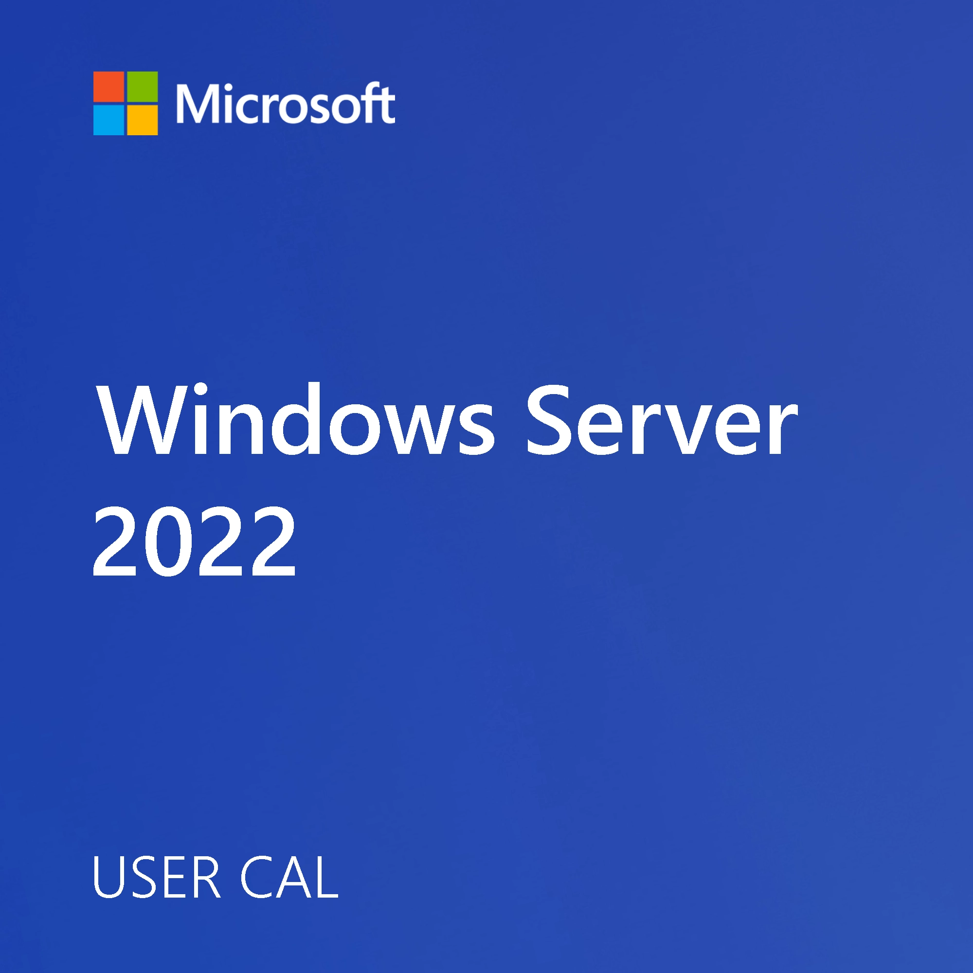 Windows Server 2022 User CAL software licence