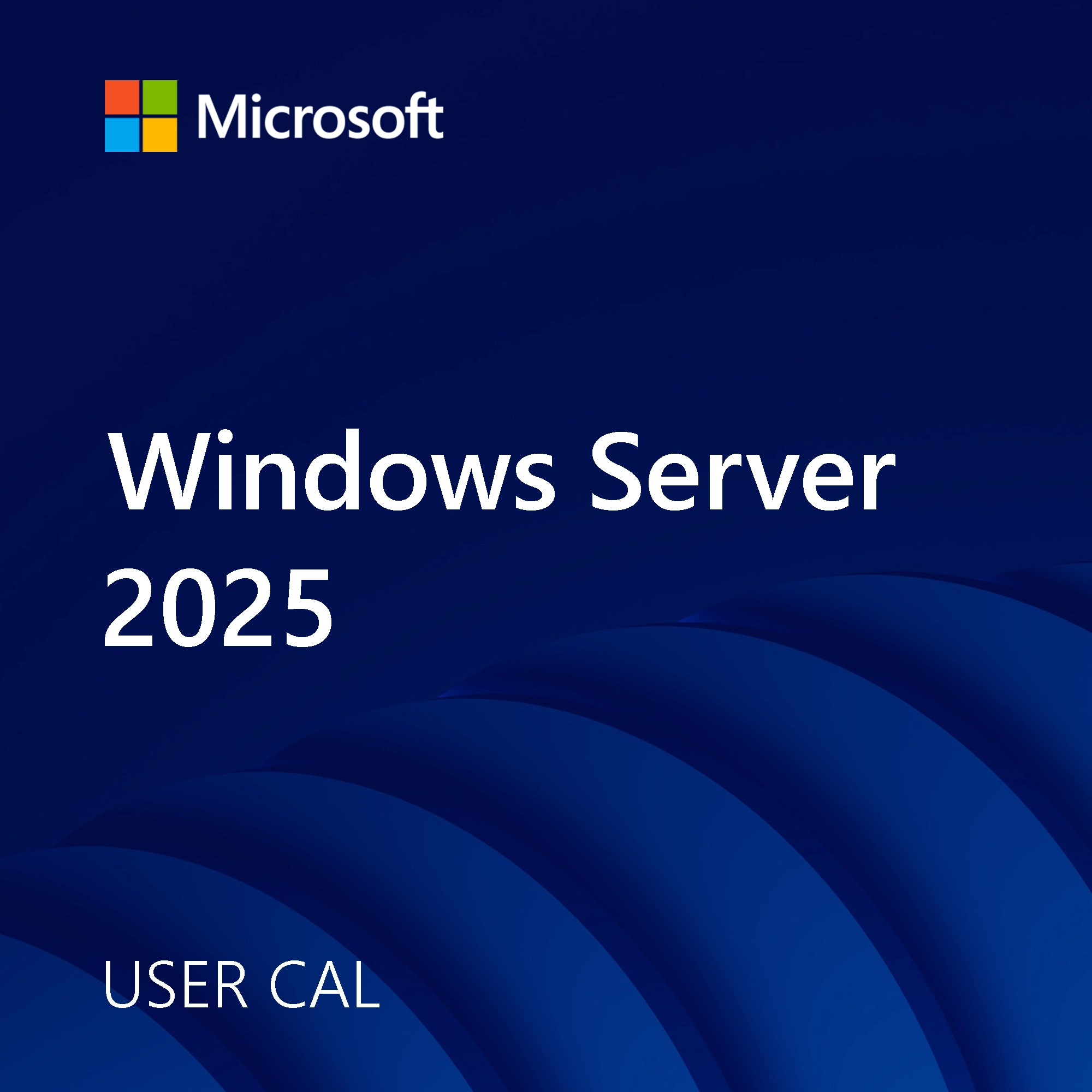 Windows Server 2025 USER CAL software licence