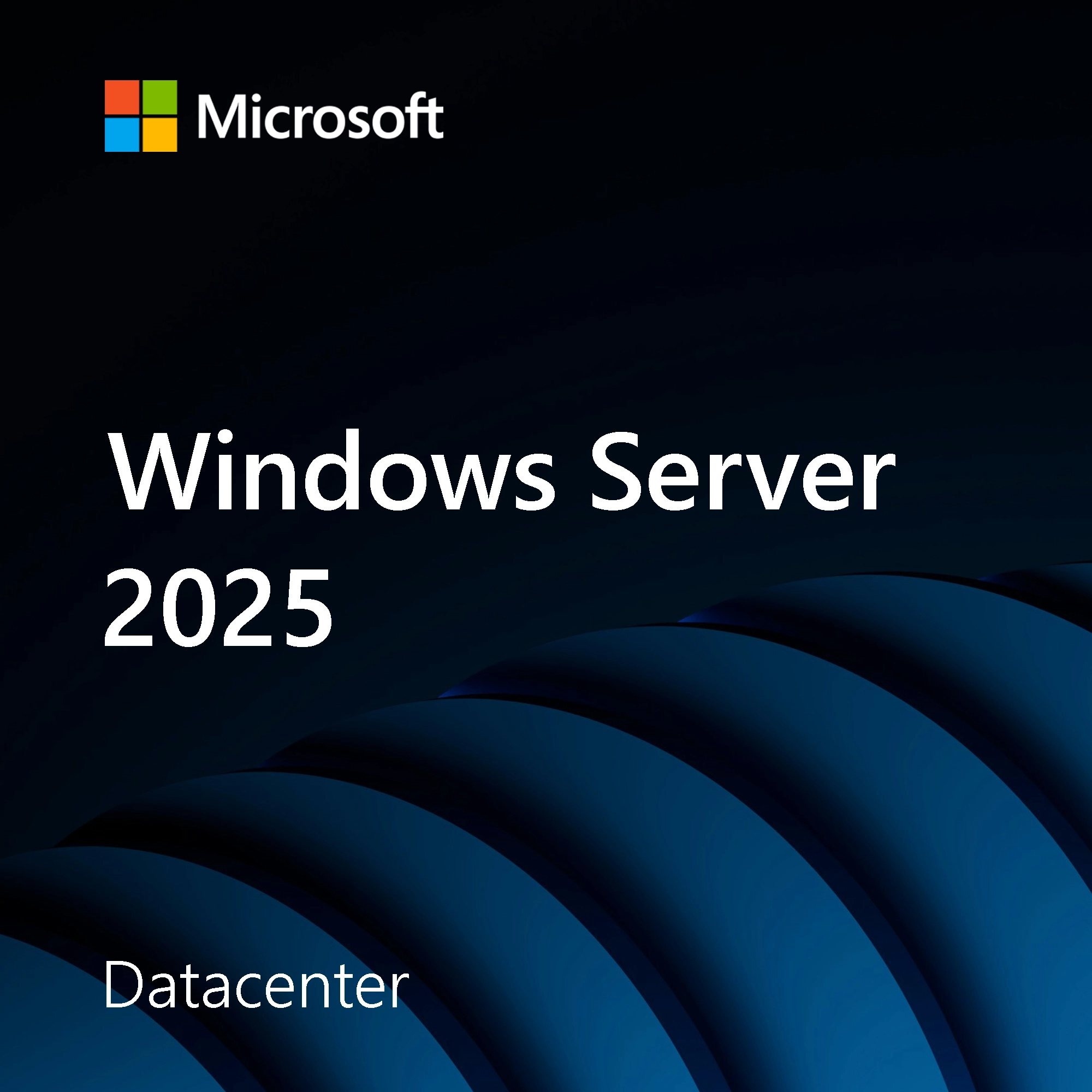 Windows Server 2025 Datacenter software licence