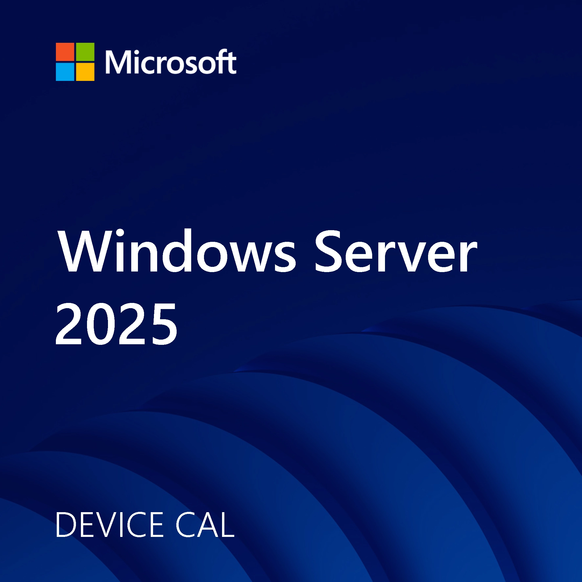 Windows Server 2025 DEVICE CAL software licence