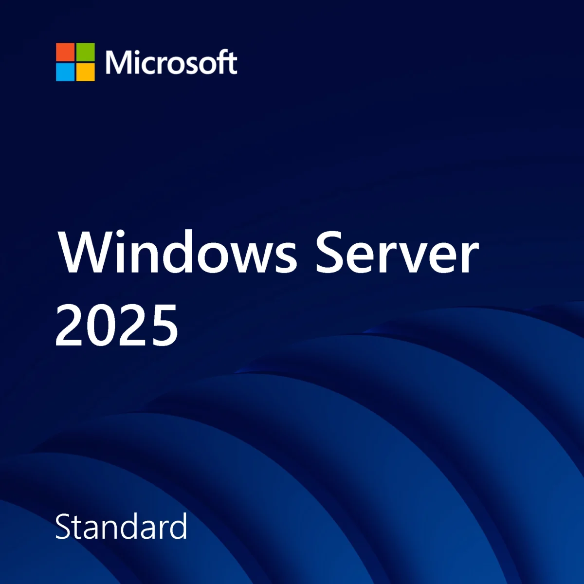 Windows Server 2025 Standard software licence
