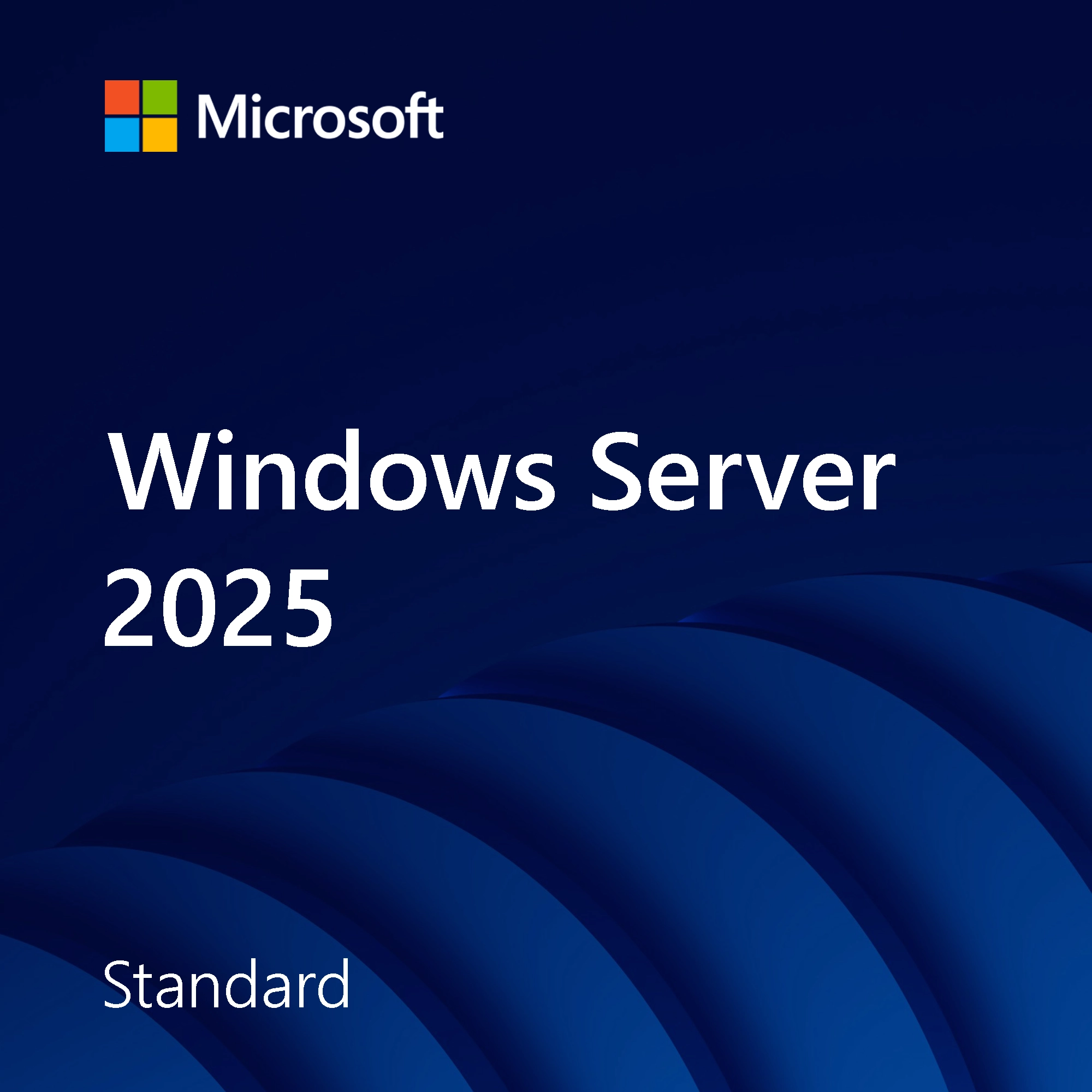 Windows Server 2025 Standard software licence