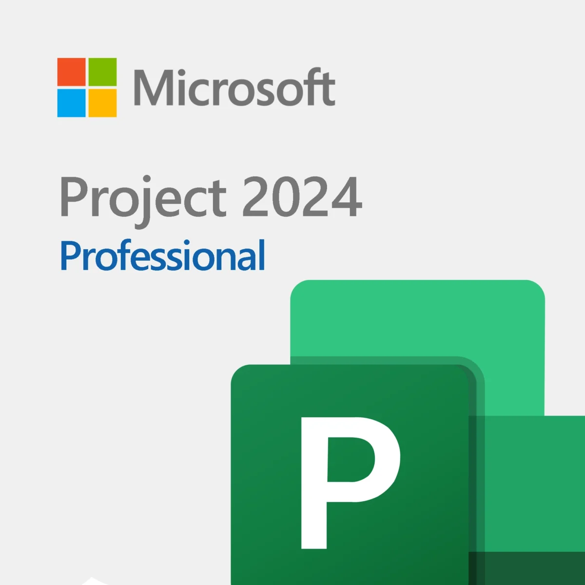 Project 2024 Professional LTSC - Image 1