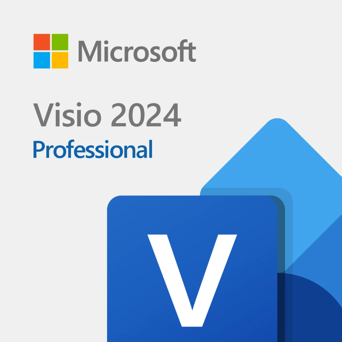 Visio Professional 2024 - Image 1